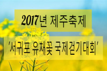 서귀포 유채꽃 국제걷기대회(총2회/  2017.03.18(토) 09:00 ~ , 2017.03.19(일) 09:00~) 